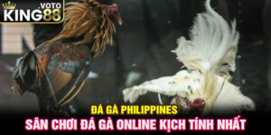 Đá Gà Philippines - Sân Chơi Đá Gà Online Kịch Tính Nhất