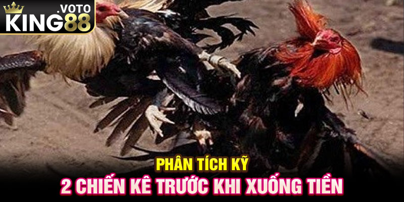 Phân tích kỹ 2 chiến kê trước khi xuống tiền